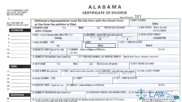 Download USA Petitioner's Representative divorce certificate Photoshop template